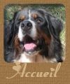 retour accueil site